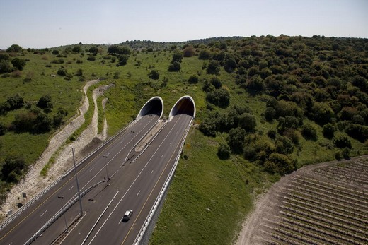 מנהרת כביש 6, צילום: צופית תור